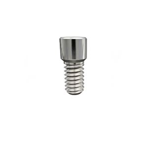Bridge Screw